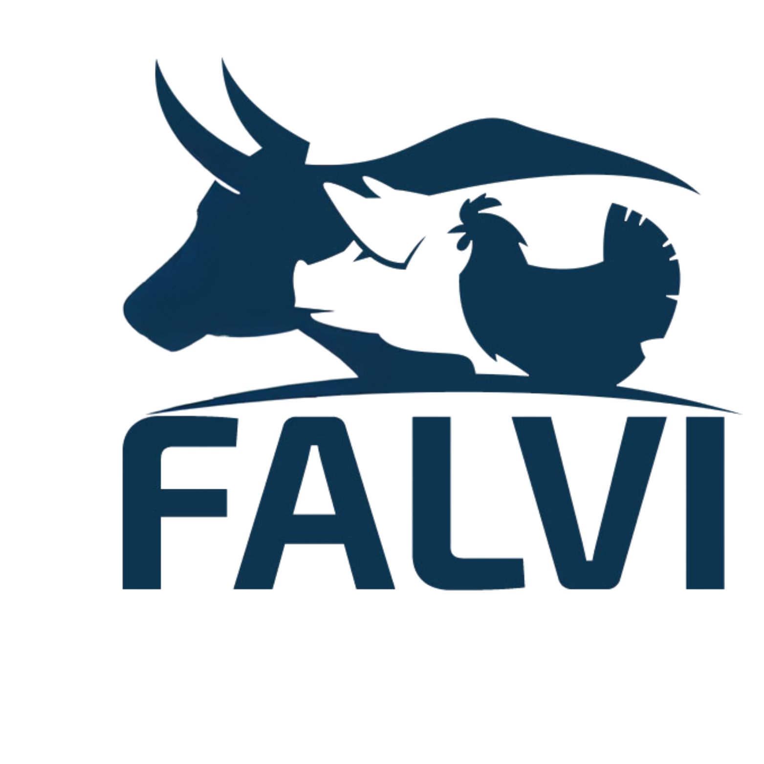 falvi.eu